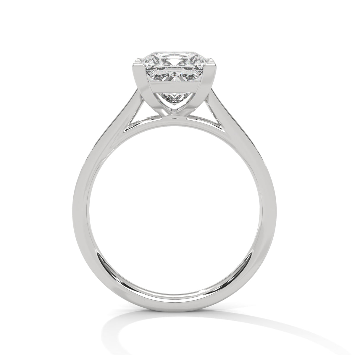 Princess Accented Lab Grown Diamond Engagement Ring