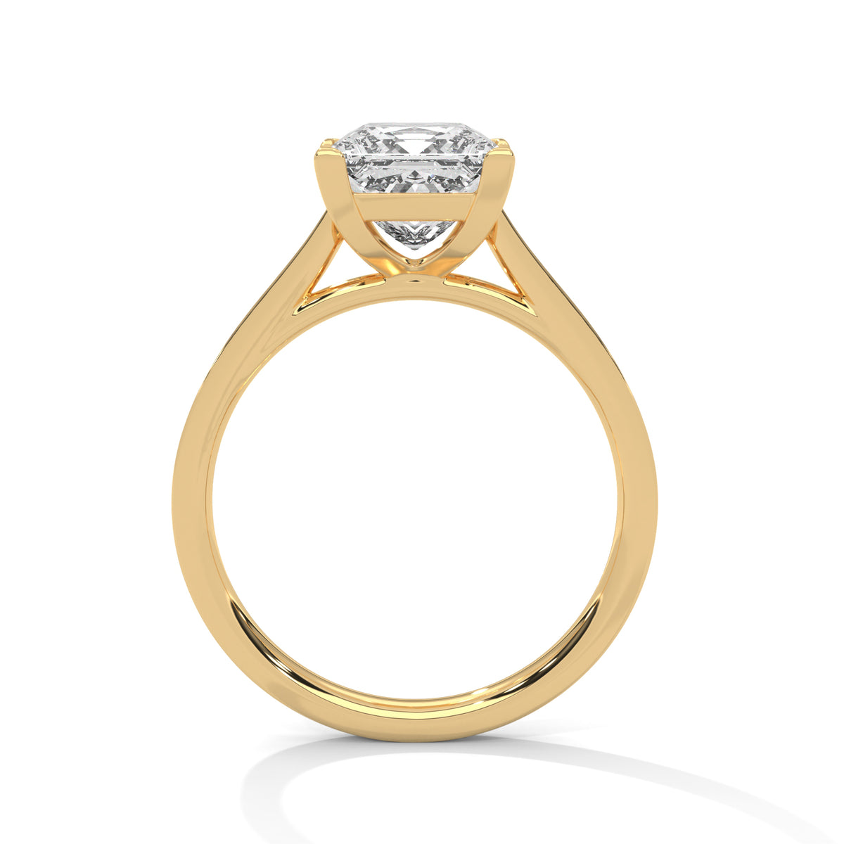Princess Accented Lab Grown Diamond Engagement Ring
